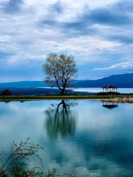 Stella'S House Διαμέρισμα Ακριτοχώριον Εξωτερικό φωτογραφία