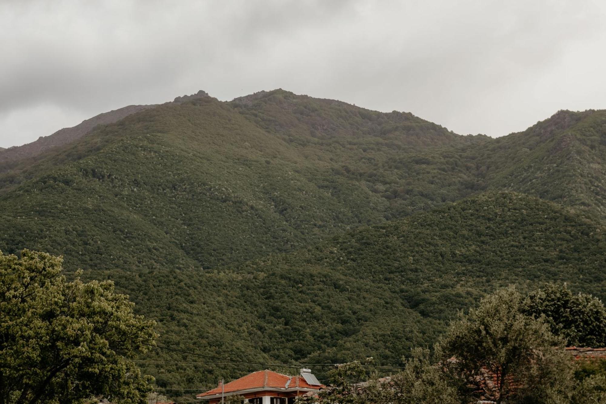 Stella'S House Διαμέρισμα Ακριτοχώριον Εξωτερικό φωτογραφία